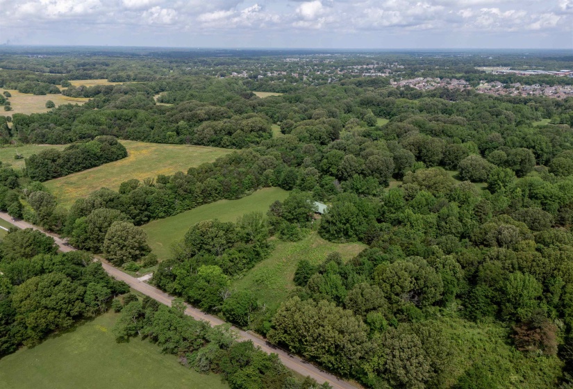 Birds eye view of property featuring a forest view