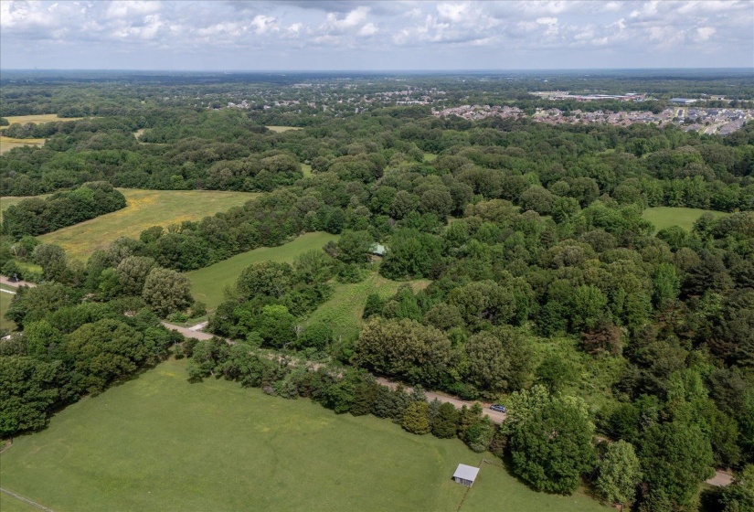 Bird's eye view featuring a forest view