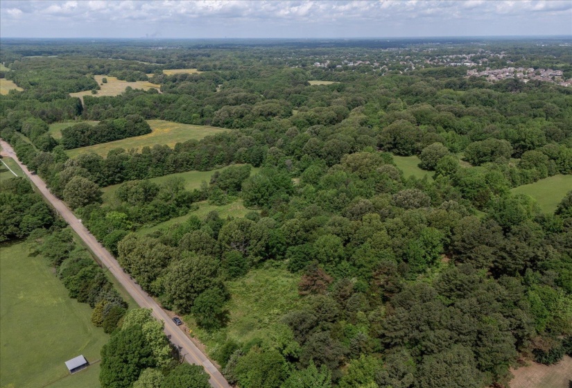 Drone / aerial view featuring a forest view