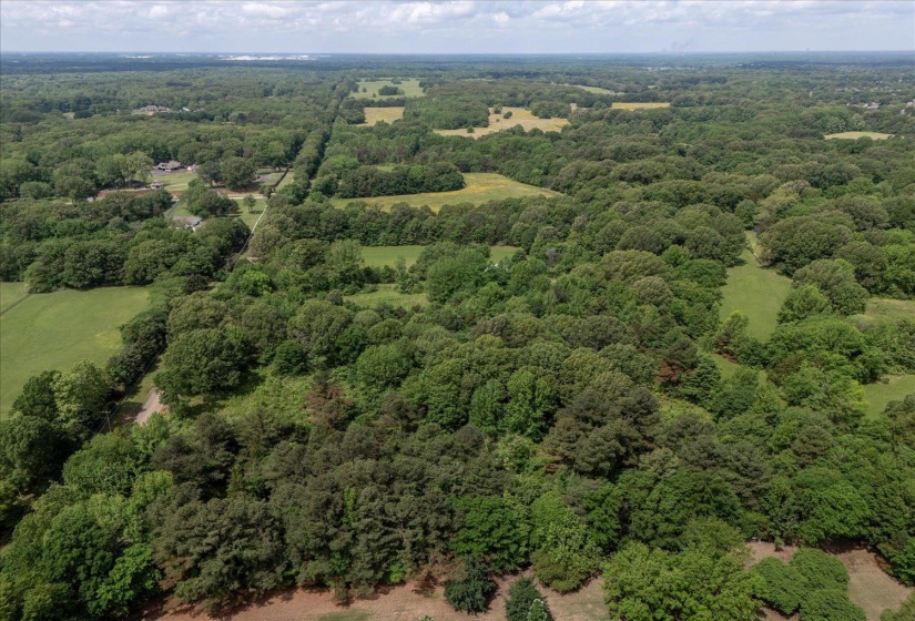 Aerial view with a view of trees