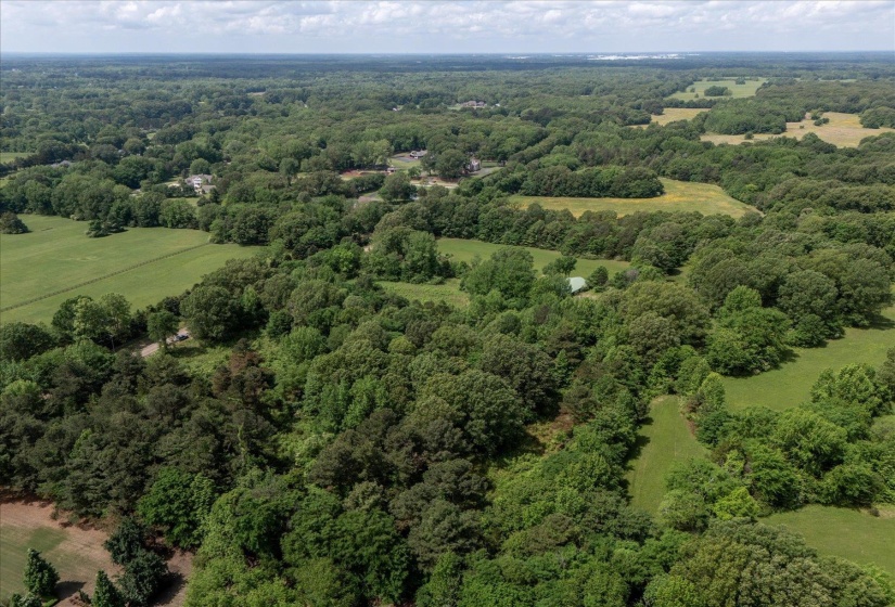Birds eye view of property featuring a forest view