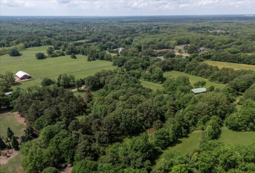 Aerial view featuring a forest view