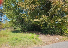 284 MODDER ST, Memphis, Tennessee 38109, ,Land,For Sale,MODDER,10188217 284 MODDER ST, Memphis, Tennessee 38109, ,Land,For Sale,MODDER,10188217