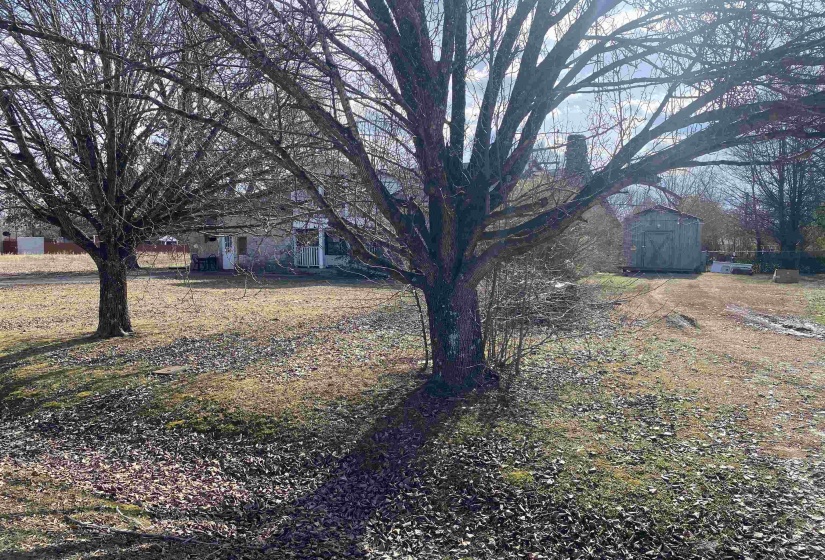 View of yard with a storage shed
