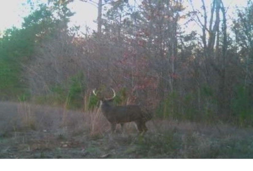 View of local wilderness