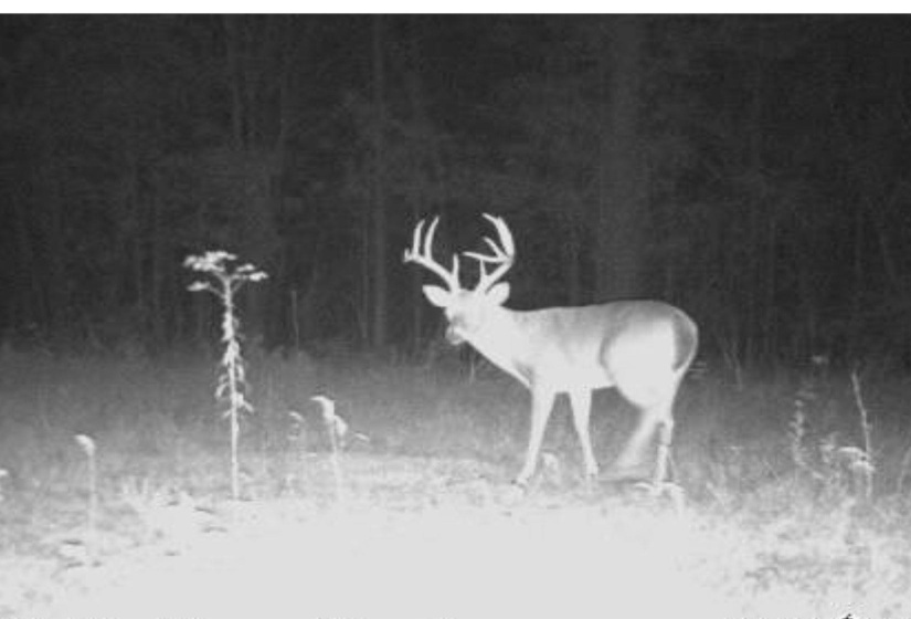 View of exterior details