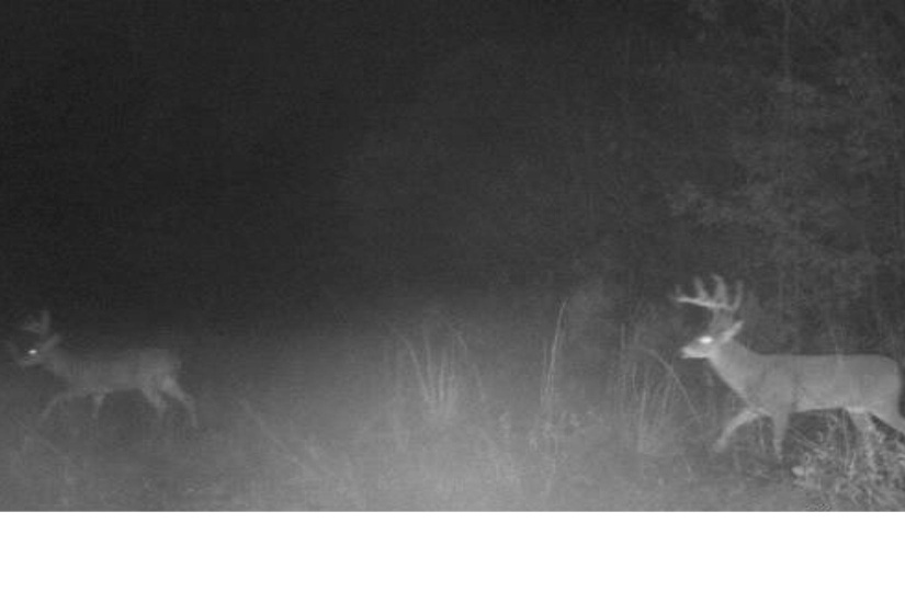 View of exterior details