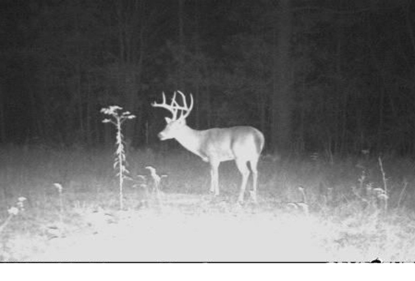 View of exterior details