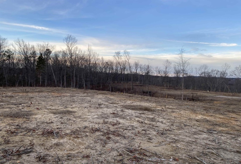 LOT 5 DALTON CV, Savannah, Tennessee 38372, ,Land,For Sale,DALTON,10188643