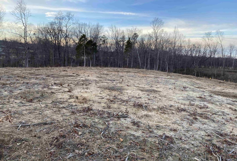 LOT 5 DALTON CV, Savannah, Tennessee 38372, ,Land,For Sale,DALTON,10188643