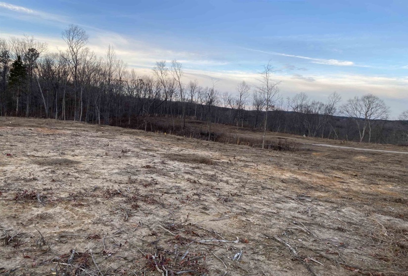 LOT 5 DALTON CV, Savannah, Tennessee 38372, ,Land,For Sale,DALTON,10188643