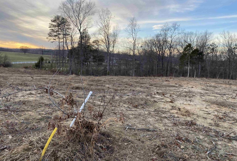 LOT 5 DALTON CV, Savannah, Tennessee 38372, ,Land,For Sale,DALTON,10188643