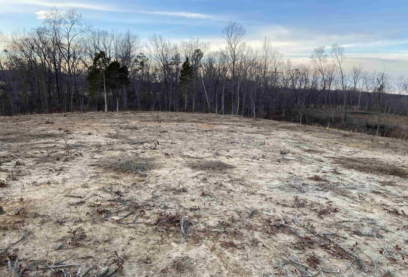 LOT 5 DALTON CV, Savannah, Tennessee 38372, ,Land,For Sale,DALTON,10188643