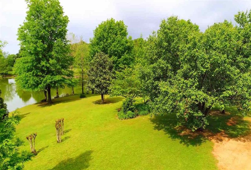 2330 WINDCLIFF DR, Eads, Tennessee 38028, ,Land,For Sale,WINDCLIFF,10188857