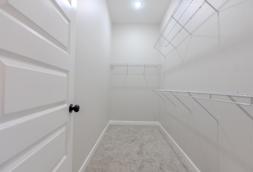 Spacious closet with light carpet