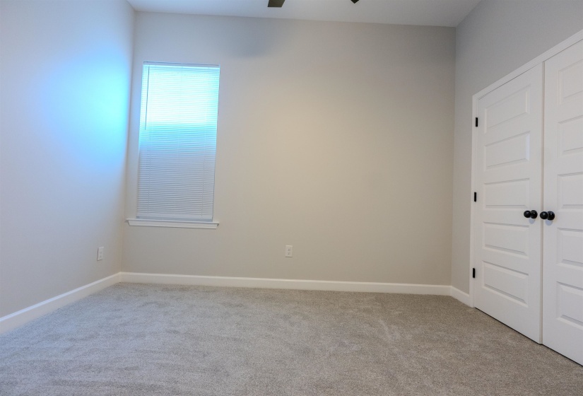 Unfurnished room featuring ceiling fan and light carpet