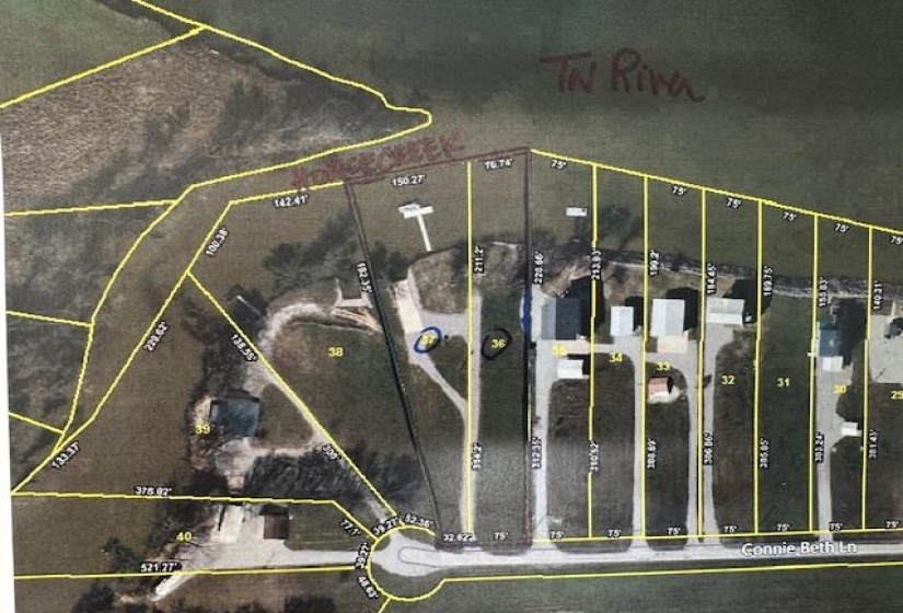 36/37 CONNIE BETH LN, Savannah, Tennessee 38372, ,Land,For Sale,CONNIE BETH,10188940