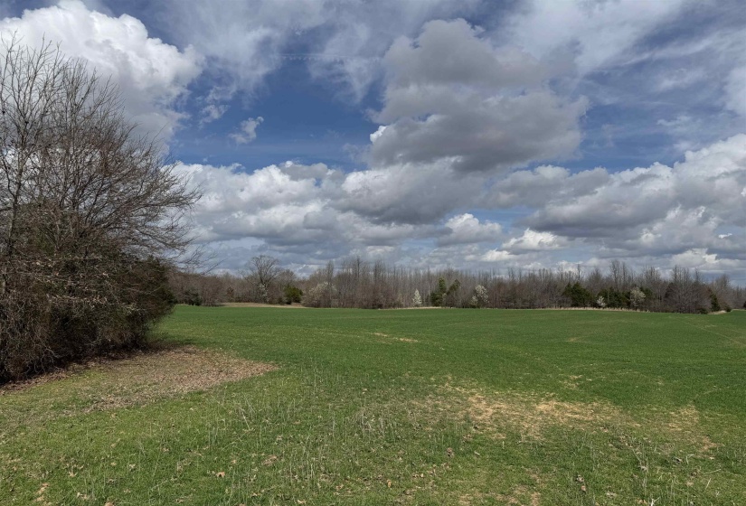 FRAZIER RD, Rossville, Tennessee 38066, ,Land,For Sale,FRAZIER,10189025