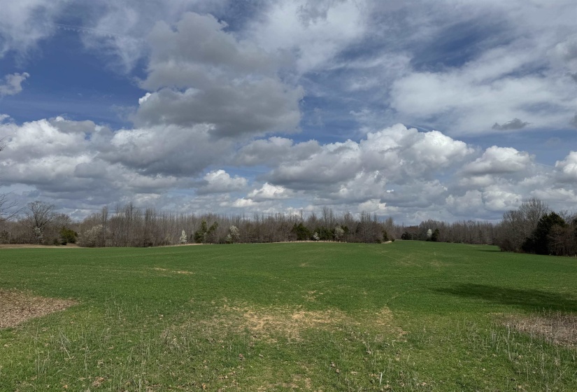 FRAZIER RD, Rossville, Tennessee 38066, ,Land,For Sale,FRAZIER,10189025
