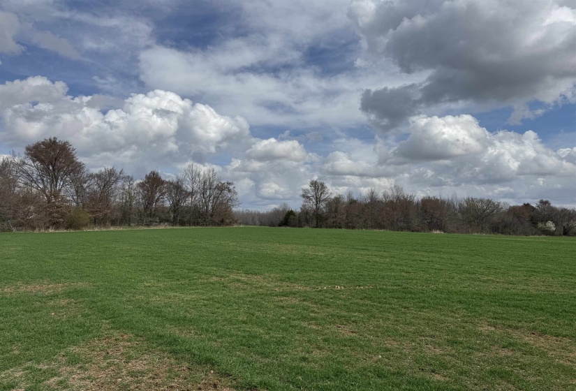 FRAZIER RD, Rossville, Tennessee 38066, ,Land,For Sale,FRAZIER,10189025