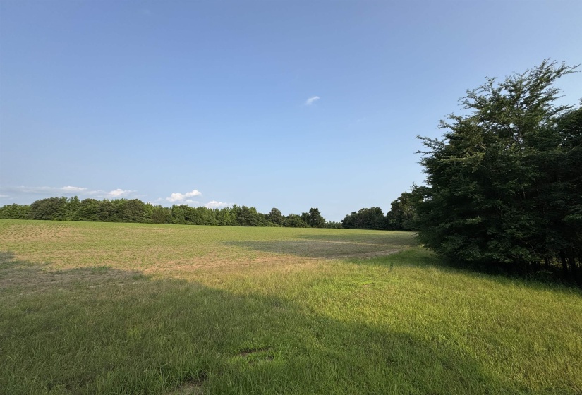 FRAZIER RD, Rossville, Tennessee 38066, ,Land,For Sale,FRAZIER,10189025