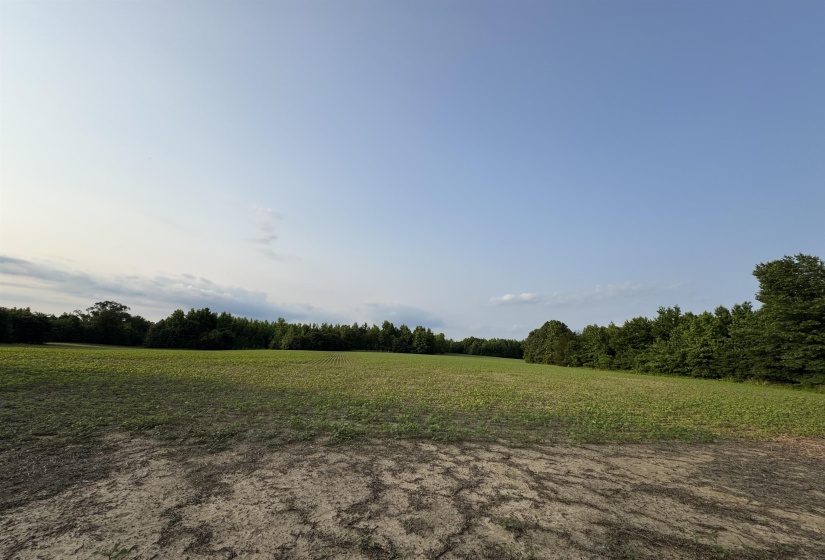 FRAZIER RD, Rossville, Tennessee 38066, ,Land,For Sale,FRAZIER,10189025