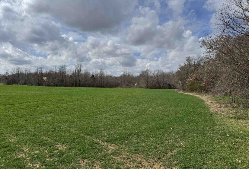 FRAZIER RD, Rossville, Tennessee 38066, ,Land,For Sale,FRAZIER,10189025