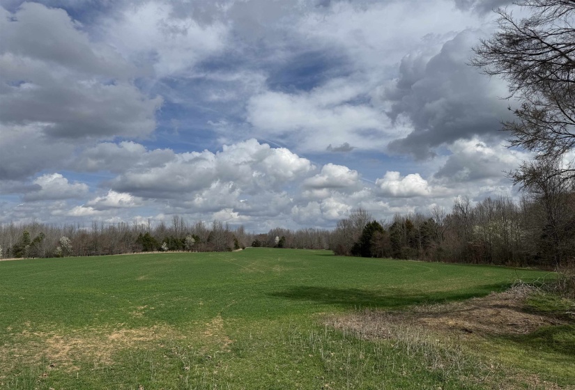 FRAZIER RD, Rossville, Tennessee 38066, ,Land,For Sale,FRAZIER,10189025