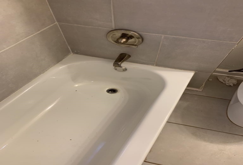 Interior details featuring a tub to relax in and toilet