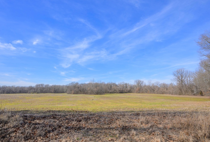 HWY 59 HWY, Unincorporated, Tennessee 38015, ,Land,For Sale,HWY 59,10189658
