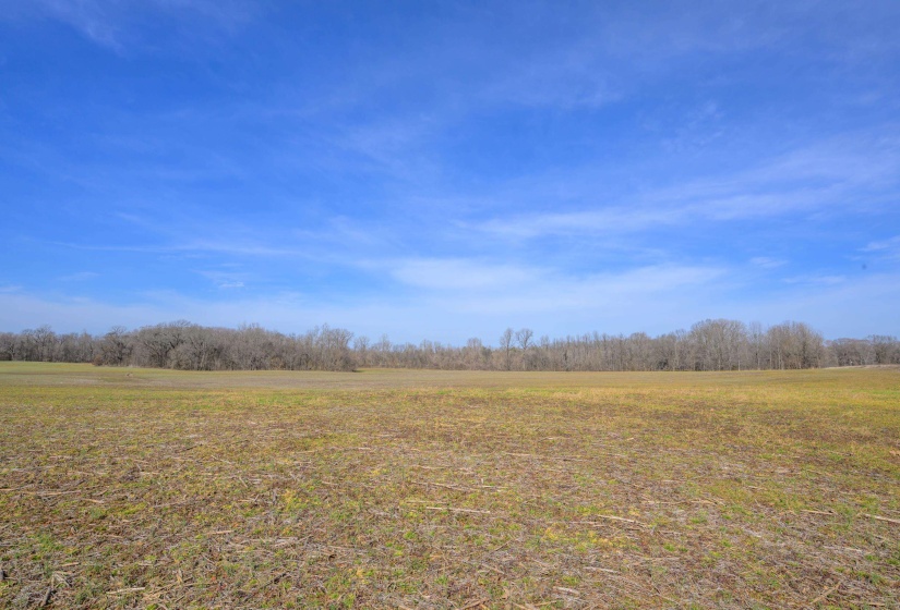 HWY 59 HWY, Unincorporated, Tennessee 38015, ,Land,For Sale,HWY 59,10189658