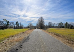 MONTGOMERY RD, Unincorporated, Tennessee 38015, ,Land,For Sale,MONTGOMERY,10189661