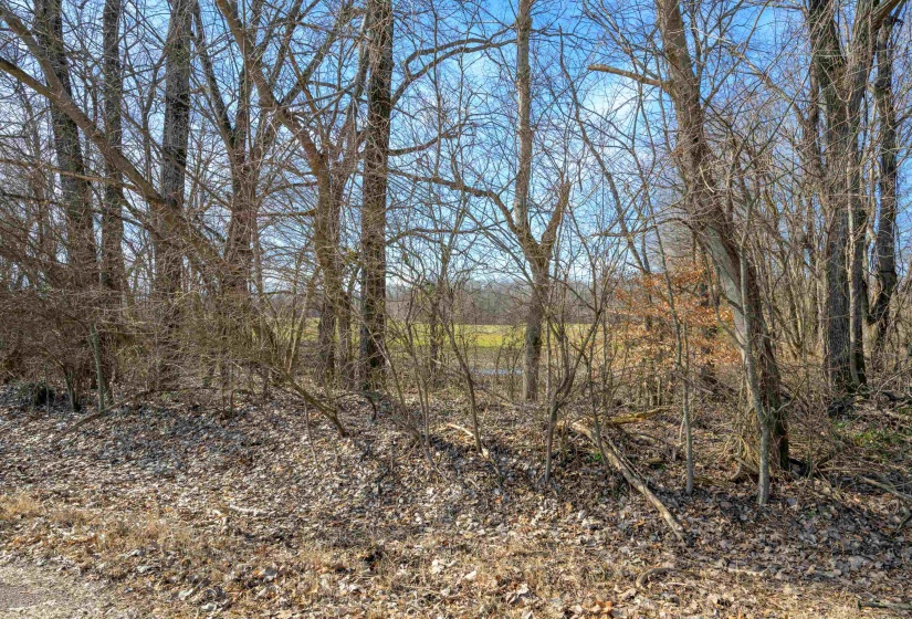 MONTGOMERY RD, Unincorporated, Tennessee 38015, ,Land,For Sale,MONTGOMERY,10189661