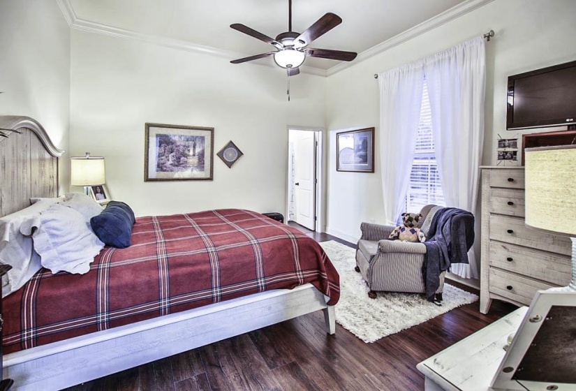 Bedroom featuring ornamental molding, wood-type flooring, and ceiling fan