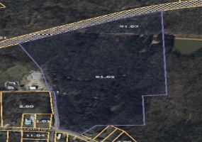 0 POWELL ST, Paris, Tennessee 38242, ,Land,For Sale,POWELL,10189922