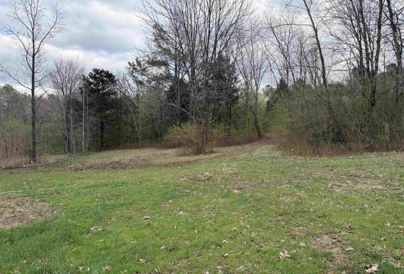 View of yard featuring a wooded view