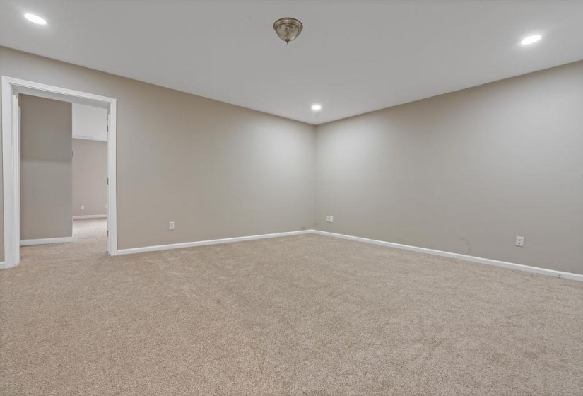 Spare room featuring carpet flooring can be used as a Media/Gameroom