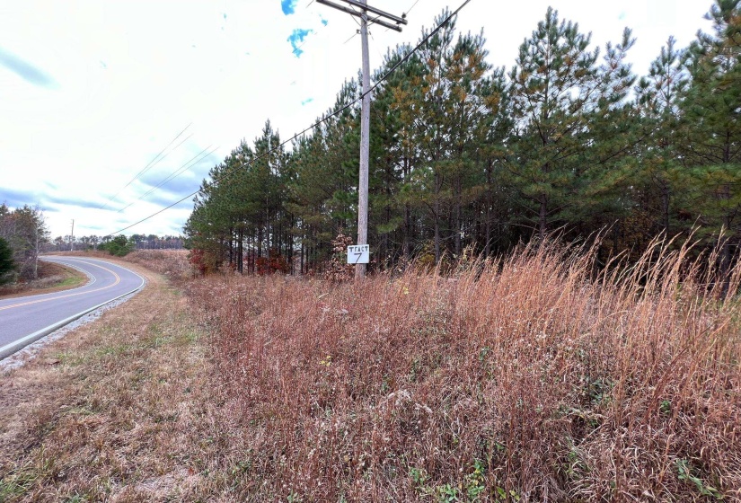 View of road