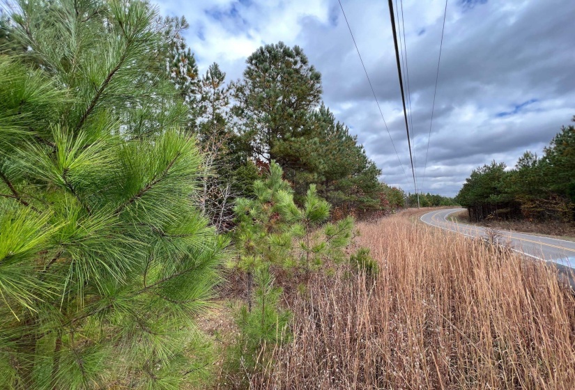 View of road