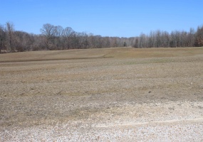 LOT 3 HWY 51 HWY, Ripley, Tennessee 38063, ,Land,For Sale,HWY 51,10190087