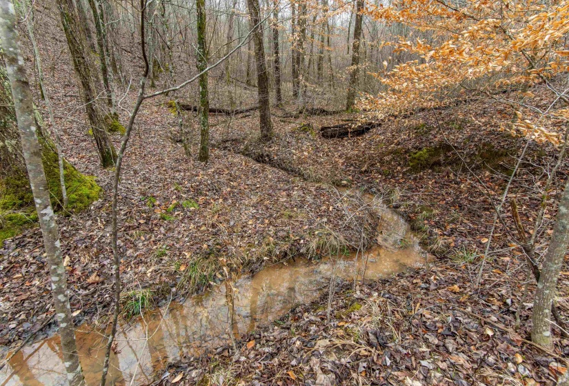 2040 LIBERTY RD, Morris Chapel, Tennessee 38361, 1 Bedroom Bedrooms, 3 Rooms Rooms,2 BathroomsBathrooms,Residential,For Sale,LIBERTY,10190110