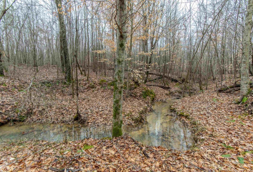 2040 LIBERTY RD, Morris Chapel, Tennessee 38361, 1 Bedroom Bedrooms, 3 Rooms Rooms,2 BathroomsBathrooms,Residential,For Sale,LIBERTY,10190110