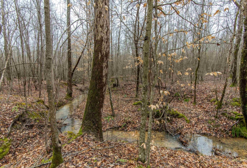2040 LIBERTY RD, Morris Chapel, Tennessee 38361, 1 Bedroom Bedrooms, 3 Rooms Rooms,2 BathroomsBathrooms,Residential,For Sale,LIBERTY,10190110