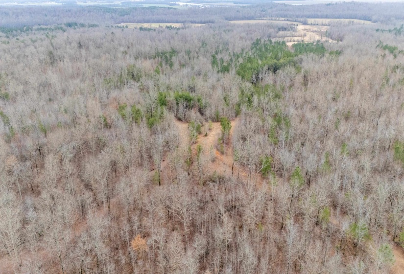 2040 LIBERTY RD, Morris Chapel, Tennessee 38361, 1 Bedroom Bedrooms, 3 Rooms Rooms,2 BathroomsBathrooms,Residential,For Sale,LIBERTY,10190110