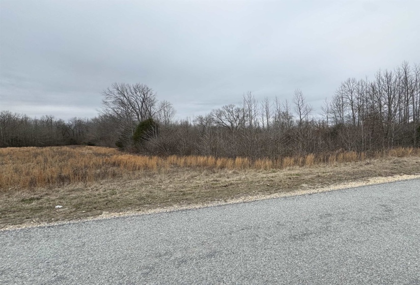 0 COUNTY LAKE RD, Trenton, Tennessee 38382, ,Land,For Sale,COUNTY LAKE,10190193
