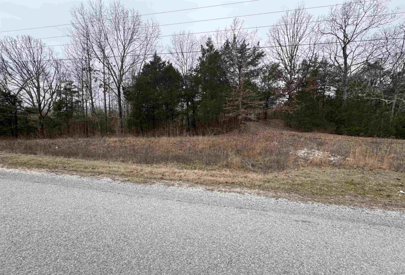 0 COUNTY LAKE RD, Trenton, Tennessee 38382, ,Land,For Sale,COUNTY LAKE,10190193