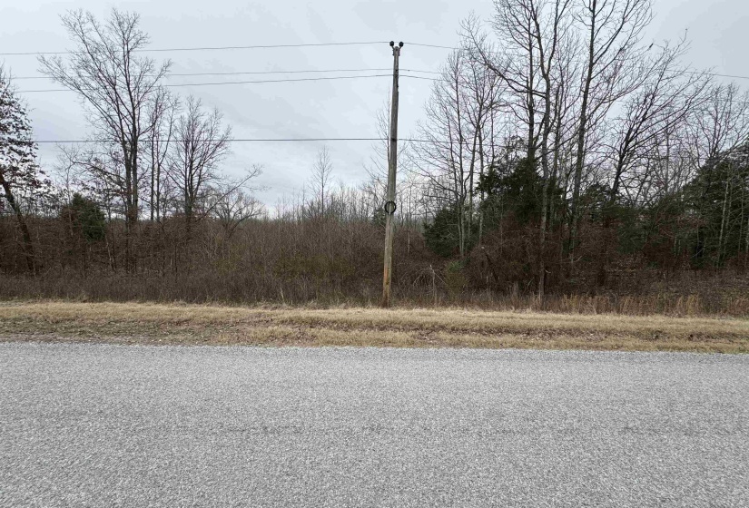 0 COUNTY LAKE RD, Trenton, Tennessee 38382, ,Land,For Sale,COUNTY LAKE,10190193