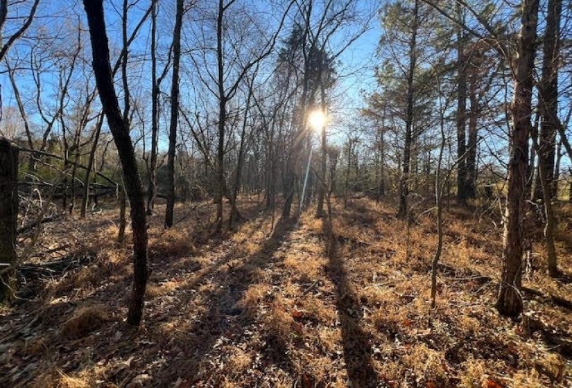 11764 MACON RD, Eads, Tennessee 38028, ,Land,For Sale,MACON,10190272