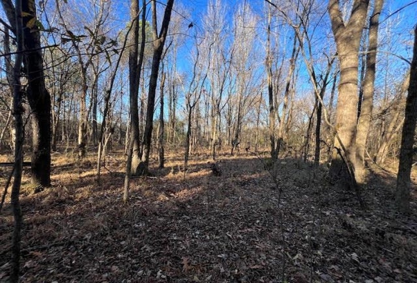 11764 MACON RD, Eads, Tennessee 38028, ,Land,For Sale,MACON,10190272