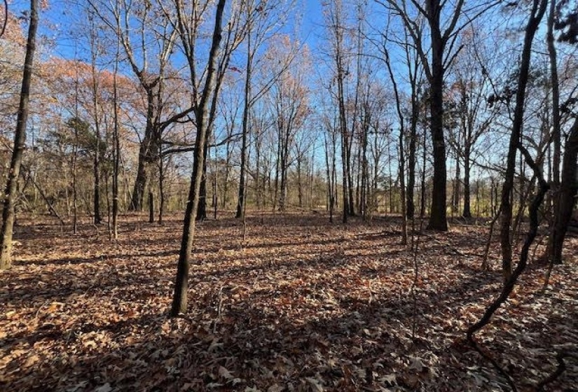 11764 MACON RD, Eads, Tennessee 38028, ,Land,For Sale,MACON,10190272